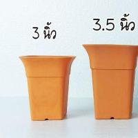 ราคา กระถางต้นไม้ กระถางแคคตัส กระถางกระบองเพชร กระถางพลาสติก ทรงสี่เหลี่ยม ขนาด 2 นิ้ว 3 นิ้ว 3 5นิ้ว 4นิ้ว 4 5นิ้ว ลูกค้าเลือกตามรูปและขนาดที่ต้องการ (13106318758)