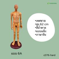 ราคา หุ่นจำลองจุดฝังเข็ม ขนาด 52 54 62cm หุ่นจำลองฝังเข็มได้ งานละเอียดพิเศษ Acupuncture Model By Fangkhem (20813476394)