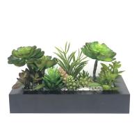 ราคา OrientalFineArt ต้นไม้ประดิษฐ์ สวนกระบองเพชร กุหลาบหินจัดในกระถางไม้ (2908482584)