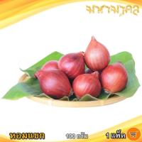 ราคา หอมแขก 100กรัม 1แพ็ค หอมแดง หอม หอมแดงแขก หอมแดงราคาถูก หัวหอมแขก หัวหอม หัวหอมสด สมุนไพร เครื่องเทศ เครื่องปรุงรส ของแห้ง (9931365975)