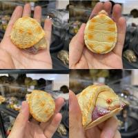 ราคา bighead series snipping turtle figurines recast โมเดลเต่าตัวเล็ก (14422396733)