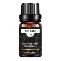 ราคา Aromatherapy Diffuser Oils 10ml Scent Diffuser For Romantic Air Freshener Oil Diffuser Essential For Aromatherapy Air Diffuser Pure Plant Oils For Home grand (19615579782)