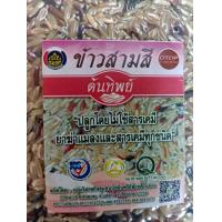 ราคา ข้าวเจ้า ข้าวกล้อง 3 สี ไรซ์เบอรี่ หอมมะลิ แดงมันปู 1 กิโลกรัม ไม่ใช้สารเคมี (21191718879)
