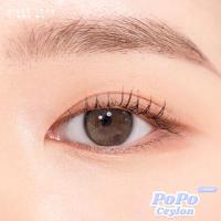 ราคา Sisse Lens รุ่น PoPo สี MilkTeaCeylon คอนแทคเลนส์รายเดือน (16078783748)