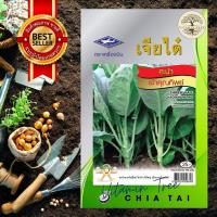 ราคา เมล็ดพันธุ์ ผักคะน้าเจ้าคุณทิพย์ 2800เมล็ด (19262028810)