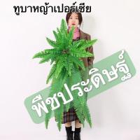 ราคา เฟิร์นประดิษฐ์ ตกแต่งบ้านและสวน เฟิร์นปลอม ต้นเฟิร์นมี3ขนาด Grass เปอร์เซีย (19429127419)