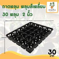ราคา กระถาง กระถางต้นไม้ ถาดหลุม สี่เหลี่ยม เบอร์ 2 2 5 3 นิ้ว 12 18 30 40 หลุม สีดำ สีขาว สีเทา สีอิฐ (20891371104)