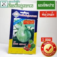 ราคา เมล็ดพันธุ์ มะเขือเปราะ พันธุ์สวนผึ้ง 1 ซอง เมล็ดพันธุ์ผักเพื่อสุขภาพ เมล็ดพันธุ์คุณภาพ เมล็ดพันธุ์ตราสามเอ (1816304334)