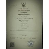 ราคา เลสข้อมือ หลวงพ่อรวย ไตรมาสแ2559 สีเงิน บริการเก็บเงินปลายทาง (16141914034)