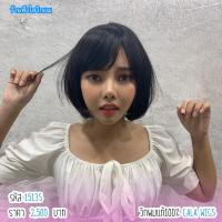 ราคา วิกผมแท้บ๊อบสั้น มีหลายทรงให้เลือก calawigs วิกผมแท้100 วิกผมบ๊อบ (5054726915)