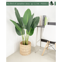 ราคา ต้นไม้ปลอม ต้นกล้วยปลอม ต้น Bird of Paradise ปลอม สูง 1 2 เมตร พร้อมส่ง (10334899658)