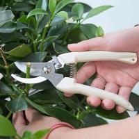 ราคา กรรไกรตัดกิ่งไม้ กรรไกรแต่งกิ่ง อุปกรณ์ทำสวน Garden Pruning Shears Scissors Pruner Gardening Tool กรรไกรตัดกิ่งjapan กรรไกรตัดแต่งกิ่ง เครื่องมือทำสวน (10518507579)