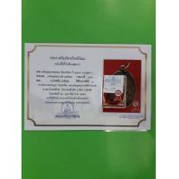 ราคา หลวงพ่อทอง วัดราชโยธา จ กรุงเทพ ได้รับรางวัลที่1 จากการประกวดพระเครื่องปีพ ศ 2548 พร้อมใบประกาศนียบัตรรางวัลที่1 (9053054510)