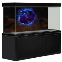 ราคา สติกเกอร์ติดตู้ปลา ะผนังอิฐ ฉากหลังตู้ปลา กาวโปสเตอร์ตู้ปลาเครื่องตกแต่งฝาผนังสติ๊ ใช้ตกเเต่งตู้ปลา ออกแบบฟรี (16038181954)