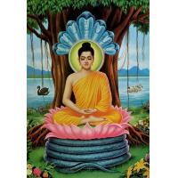 ราคา ภาพพระพุทธเจ้าปางประจำวันเกิดทั้ง7วันและ ปางประสูติ ตรัสรู้ ปรินิพาน และปางประทานพร ภาพเคลือบมันอย่างดีสีสวยสดใสขนาด15X20นิ้ว (15282771370)