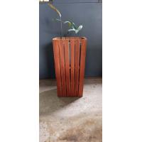 ราคา ชั้นวางต้นไม้ ตะกร้าใส่กระถาง ตะกร้าผ้า ที่ใส่ร่ม ใส่ไม้กวาด ใบใหญ่ กล่องเก็บของ ชั้นวาง ตะกร้าไม้ ทำจากไม้ โดนน้ำโดนแดดได้ (20482590749)