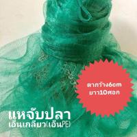 ราคา แหเอ็นเกลียว 6 เซน ความยาว 10 12 ศอก แหจับปลา แหหว่าน ทอดแหหาปลา ขึ้นเพลาแล้วพร้อมใช้งาน แถมเชือก สำหรับผูก 1 เส้น (1914320779)