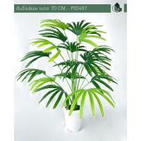 ราคา ต้นจั๋งปลอม สูง 70 CM (10950303295)