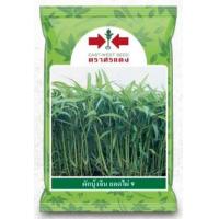 ราคา เมล็ดพันธุ์ผักบุ้งจีน ยอดไผ่ 9 1 กก ตราศรแดง (20818801077)