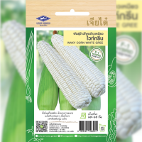 ราคา เมล็ดพันธุ์ ข้าวโพดข้าวเหนียว ไวท์กรีน ตราเจียไต๋ (19641832200)
