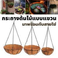 ราคา กระถางต้นไม้ กระถางดอกไม้ กระถางแขวน กระถางห้อย กระถางติดผนัง กระถางกาบมะพร้าว กระเช้าห้อย กระเช้าแขวน ตกแต่งบ้านจัดสวน (12685056406)