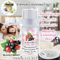 ราคา ก้านไม้หอมปรับอากาศ กลิ่น BLACKCURRANT แบล็คเคอแรนท์ (20054961882)