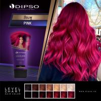 ราคา Dipso ดิ๊ฟโซ่ แว๊กซ์ เปลี่ยนสีผม 150 มล จัดเต็มมากกว่า 15 เฉดสี ทำสีผม สวยสไตล์ idol เกาหลี ทำเองได้ที่บ้าน (17238893543)