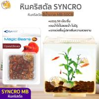 ราคา Aqua Syncro Magic Beans MB 50B MB 50G MB 50CB MB 50Y หิน หินสี ของตกแต่ง หินคริสตัลตกแต่งตู้ปลา 50 ชิ้น (15966442504)