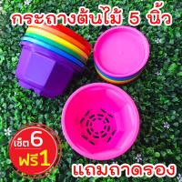 ราคา กระถางต้นไม้ 5 นิ้ว กระถางแคคตัส กระถางกลมทรง8เหลี่ยม พร้อมถาดรอง เซ็ต 6 ฟรี 1 ใบ homes (4258974469)