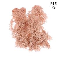 ราคา pirit ต้นมอสเทียมธรรมชาติสีสันสดใส1ชิ้นสำหรับตกแต่งต้นเรนเดียร์แห้งแบบ DIY ทำจากเรซิ่นอีพ็อกซี่เติมเครื่องประดับอุปกรณ์ตกแต่งสวน (20382554028)