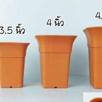 ราคา กระถางต้นไม้ กระถางแคคตัส กระถางกระบองเพชร กระถางพลาสติก ทรงสี่เหลี่ยม ขนาด 2 นิ้ว 3 นิ้ว 3 5นิ้ว 4นิ้ว 4 5นิ้ว ลูกค้าเลือกตามรูปและขนาดที่ต้องการ (13107162764)