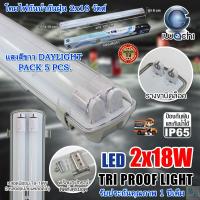 ราคา โคมไฟกันน้ำกันฝุ่นพร้อมหลอดไฟ โคมกันฝุ่น โคมกันน้ำ โคมไฟติดภายนอก โคมไฟสำเร็จพร้อมหลอดนีออน LED T8 18 วัตต์ 2 หลอด แสงสีขาว IWACHI แพ็ค 5 ชุด (4669926994)