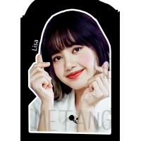 ราคา หมอน Lisa แบคพิงค์ ลิซ่า Blackpink (19971252101)