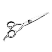 ราคา กรรไกรตัดผมมืออาชีพขนาด6 0นิ้วชุดกรรไกรตัดผมกรรไกรตัดแต่งผมผมซาลอนกรรไกรตัดผมของแท้จากญี่ปุ่น (20915339040)