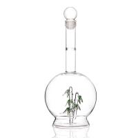 ราคา 500ml High Borosilicate Glass Decanter Creative Bamboo Shape Wine Decanter Wine Glass Whiskey Glass for Bar Party Gift (11720064529)