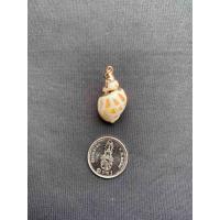 ราคา จี้หอยสังข์ธรรมชาติ Natural conch pendant Gold and silver plated (20050293890)