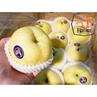 ราคา สาลี่ทอง ยกลัง18ลูก CHN ลดพิเศษ Premium Chinese Pears หอม หวาน อร่อย สาลี่จีน ขายส่ง ราคาส่ง (1803820060)