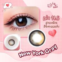 ราคา คอนแทคเลนส์ฟิลเตอร์ไล่สี ขนาดกลาง New York kittykawaii (17906716970)