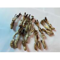 ราคา 1 ชิ้น ว่านจั๊กจั่น หรือ พญาว่านต่อเงินต่อทอง ค้าขายดี เจรจาราบรื่น ของดี ควรมี ของแท้ เคลือบ ปลุกเสก (19904356364)