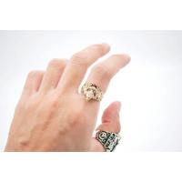 ราคา แหวนองค์พระวิษณุกรรมช่างกล เนื้อซิเวอร์และทองแดงฝังพลอย ลูกๆไม่ควรพลาด สินค้ามีพร้อมจัดส่งไว บริการเก็บเงินปลายทาง (16140765489)