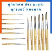 ราคา พู่กันกลม สง่า ด้ามสีครีม ขนสีน้ำตาล คุณภาพดี เบอร์0 12 มีทุกเบอร์ ทุกขนาด ภู่กัน US Station (19796575437)