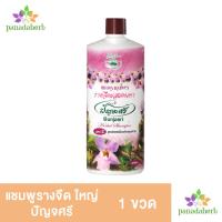 ราคา แชมพูสมุนไพรรางจืด ปัญจศรี 1000มล (9889128474)