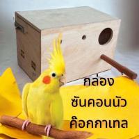 ราคา ลังซันคอนนัว ลังเพาะ ลังออกไข่ บ้านไม้ บ้านนก บ้านสัตว์เลี้ยง บ้านกระรอก แบบ เปิดด้านข้างได้ (20061801137)
