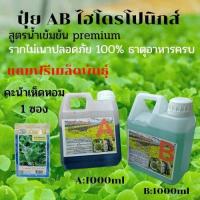 ราคา ธาตุอาหารพืช ปุ๋ยไฮโดรโปนิกส์ ปุ๋ยAB ปุ๋ยน้ำ ปุ๋ยผักสลัด สำหรับปลูกผัก Hydroponics ขนาด1000MLและ250ML แถมเมล็ดพันธุ์ คะน้าเห็ดหอม1ซอง (9562681096)