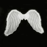 ราคา Pickmine 2023ใหม่ปีกมารขนนกนางฟ้าสำหรับผู้ใหญ่แบบหรูหราพร้อมเครื่องประดับชุดแต่งกายวันฮาโลวีนสายรัดยางยืด (19971905135)