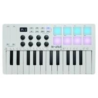ราคา M Vave Midi Keyboard Midi Controller Portable Arranger Keyboard Rgb Pad Mini USB Midi Controller Keyboard (19714966456)