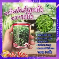 ราคา เมล็ดพันธุ์แมงลัก 5 กรัม ตรารถถัง ใบแมงลัง เมล็ดพันธุ์ ผักแมงลัก เมล็ดพันธุ์ผักสวนครัว เมล็ดแมงลัก อัตราการงอกสูง homes (18991063526)