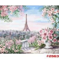 ราคา พร้อมส่ง รหัสชุด2 รูปวาด ภาพวาด ภาพวิว HOME DIY ภาพวาด ระบายสี ภาพวาดสีน้ำมัน ภาพระบายสีตามตัวเลข ขึงเฟรมไม้ Nextone (19976814204)