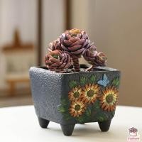 ราคา กระถางดินเผาสีครามลายดอกไม้ กระถางต้นไม้ ไม้อวบน้ำ กุหลาบหิน cactus succulentหลากหลายสายพันธุ์ (10140893546)