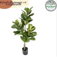 ราคา ต้นไทรใบสักปลอมสูง 1 เมตร พร้อมส่ง (16083729744)